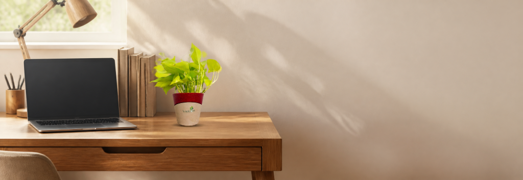 Vardh Modern Bright Desk