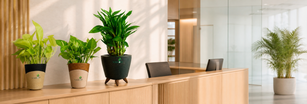 Vardh Office Reception Setup